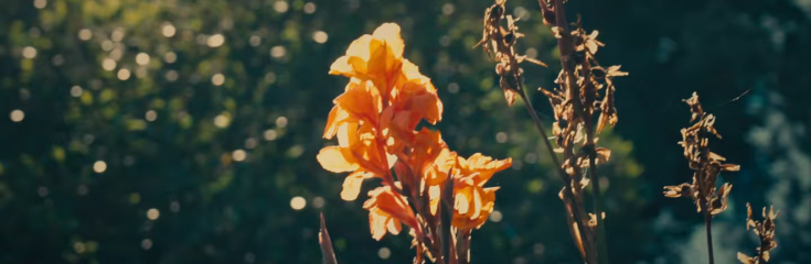 Travel with us to Australia 💎