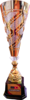 TROPHY REGIONAL-2-2
